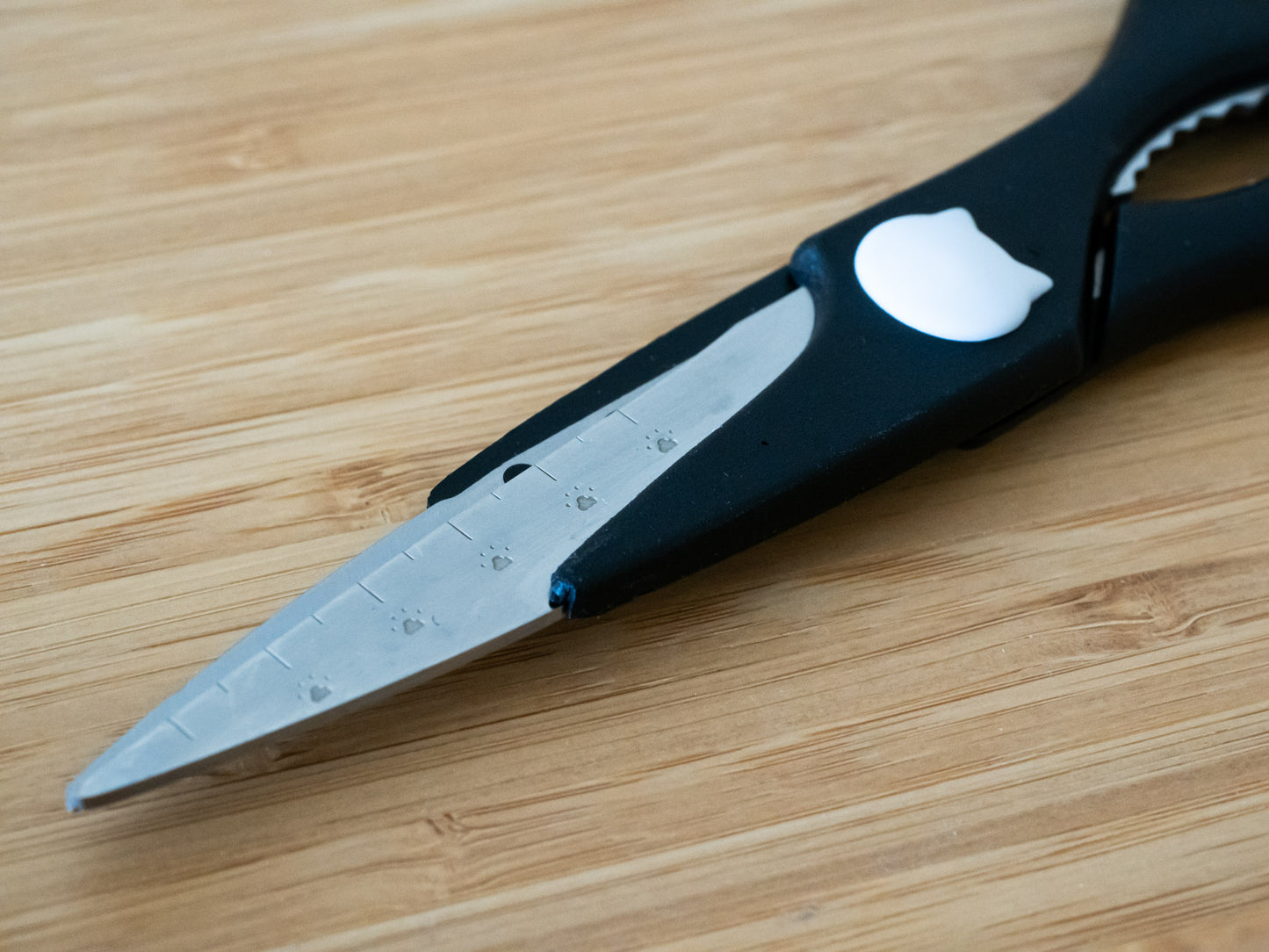 Cat Kitchen Scissors