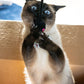 Cat Toy - Mouse
