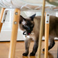 Cat Toy - Mouse